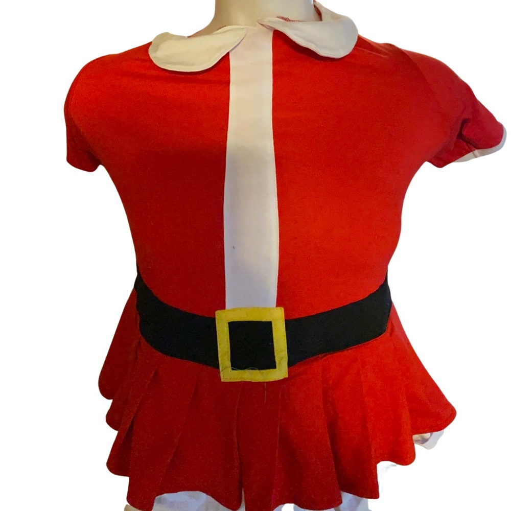 Martha Stewart dog fashion center outfit female
